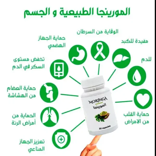 كبسولات المورينغا: طاقة وصحة من الطبيعة